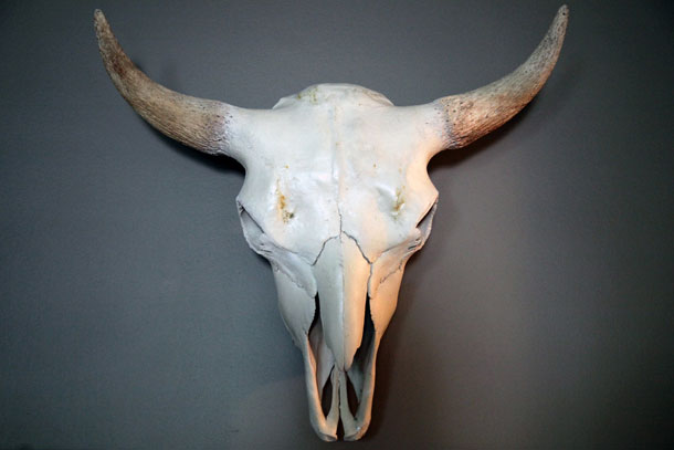 Woolaroc Buffalo Skull